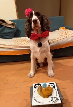 HAPPY　BIRTH　DAY　6TH♡